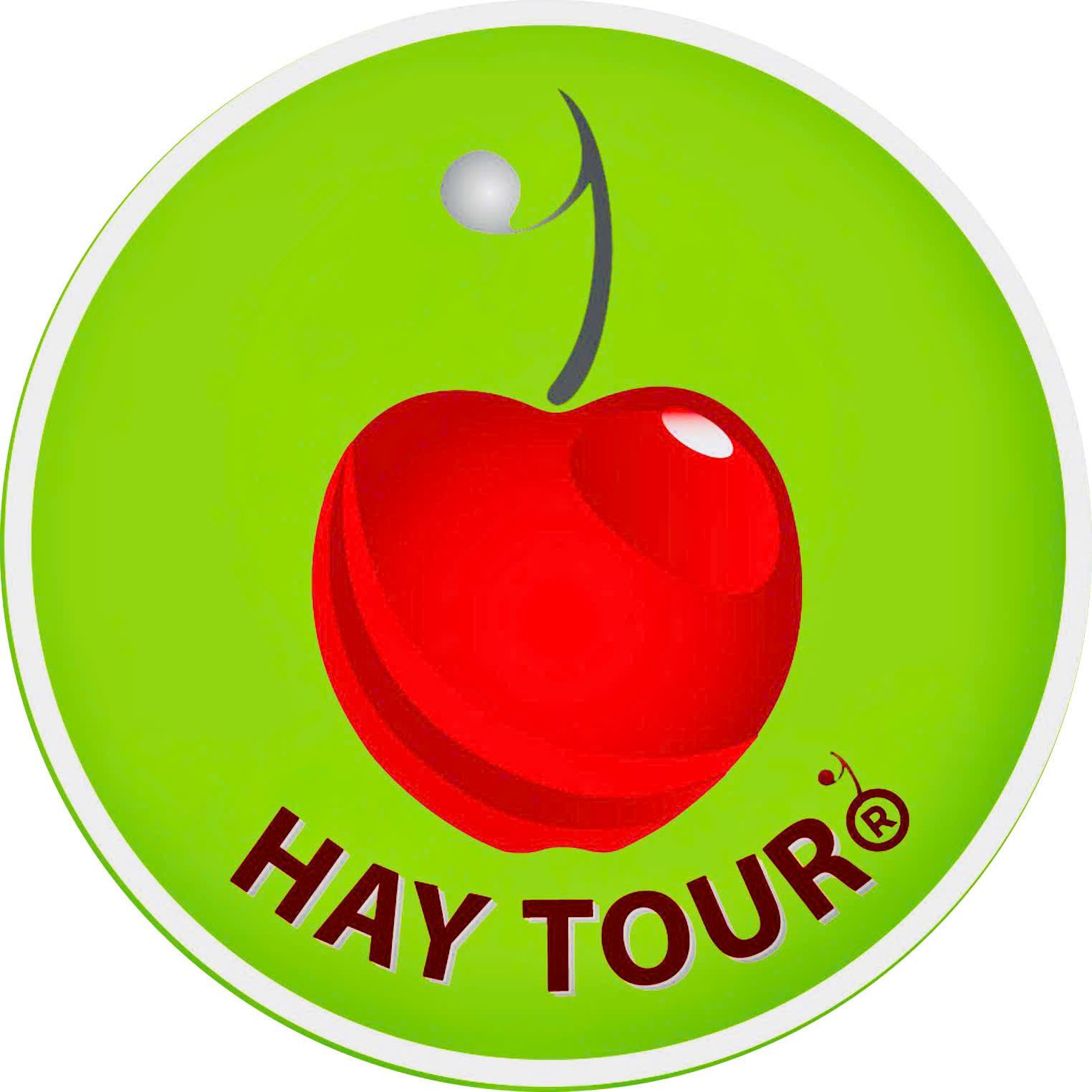 alt text: Minh họa ứng dụng vải địa kỹ thuật ART 12 trong việc gia cố nền đường cao tốc